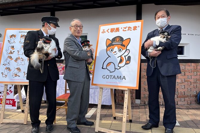 Osaka Wakayama Cat Train, Seafood market, Hot Springs Tour - Senjojiki coastal rock formations: a quick stop with real wave history