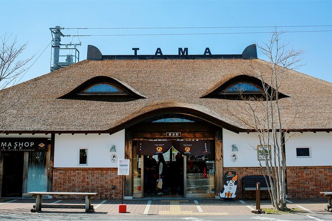 Osaka Wakayama Cat Train, Seafood market, Hot Springs Tour - Price and logistics: why $85.13 can be worth it