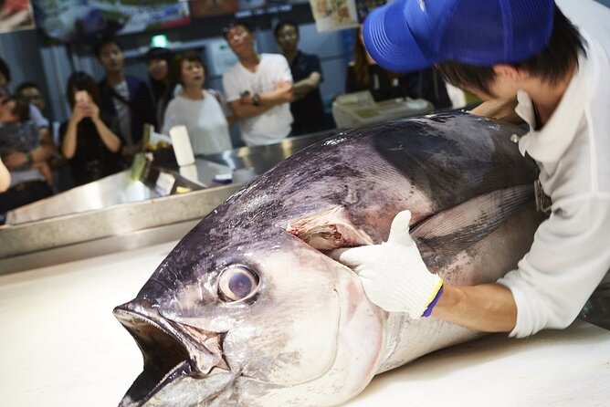 Osaka Wakayama Cat Train, Seafood market, Hot Springs Tour - Who should book the Osaka Wakayama cat train and seafood day trip