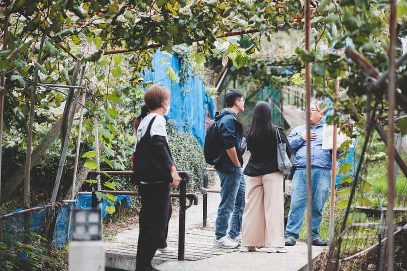 Osaka Winery Tour with Wine Tasting & Vineyard Walk - The Historic Town Walk: Edo-Period Streets, a 1,000-Year Camphor Tree, and Shrines