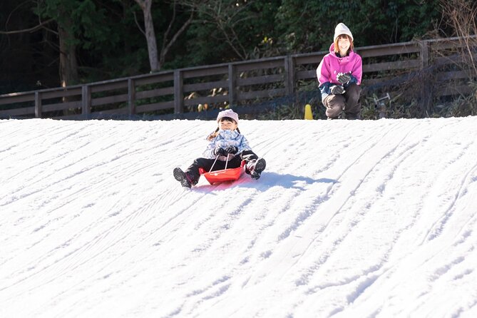 Play with Snow Crab Buffet Lunch and Strawberry Picking Bus Tour - Key highlights you’ll care about