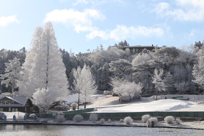 Play with Snow Crab Buffet Lunch and Strawberry Picking Bus Tour - A 10-hour winter mix: snow play, crab lunch, strawberries, shopping