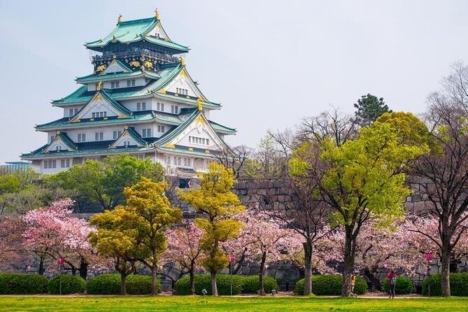 PRIVATE 6hr, Food tour from Osaka Castle, Kuromon, Dotonbori. - Key highlights you should know
