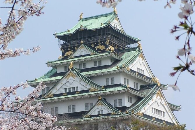 PRIVATE 6hr, Food tour from Osaka Castle, Kuromon, Dotonbori. - What makes the guides stand out (and when to ask more)