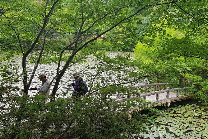 Private Car Day Trip to the Kobe Mountains, Gardens and Hot Springs from Osaka - Private vehicle details that make or break the day