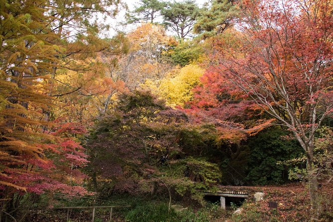 Private Car Day Trip to the Kobe Mountains, Gardens and Hot Springs from Osaka - Timing tips and how to get the most out of 7 hours