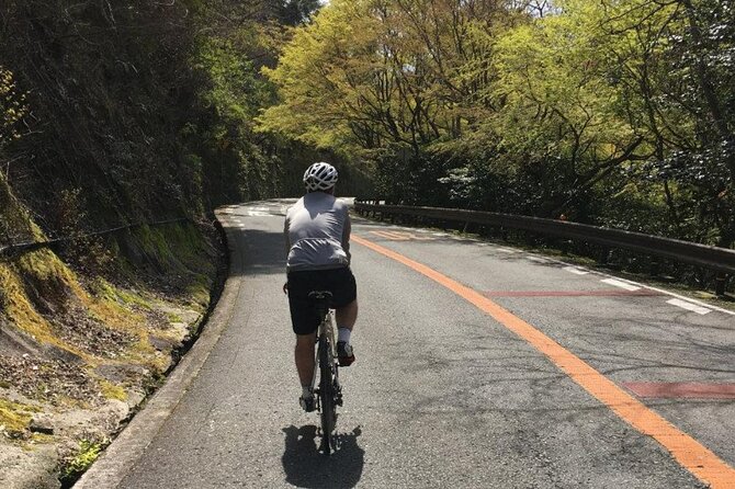 Private & Customized - Kansai Cycle tour - What to Expect From a Private Customized Ride