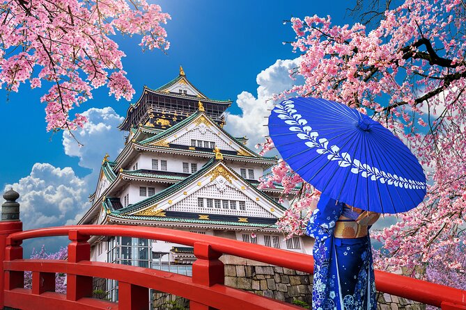 Private Day Tour in Osaka and Kyoto with charter car - Kinkaku-ji Golden Pavilion and the one-hour reality