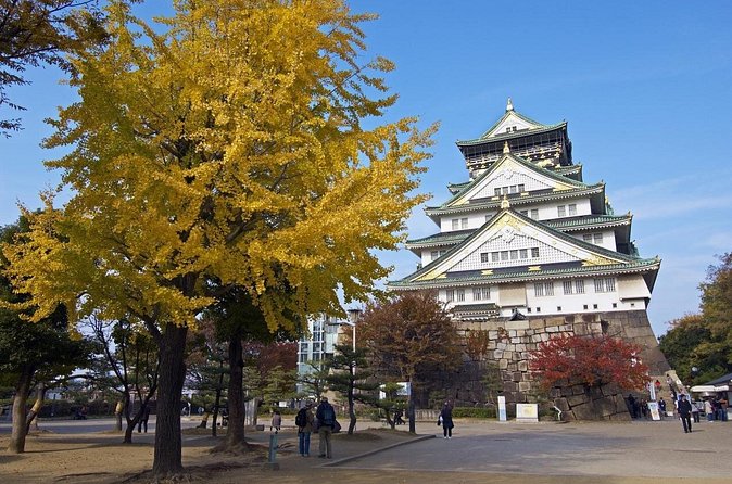 Private Departure Transfer: Osaka City to Osaka Itami Airport - Airport drop-off: what you can expect at ITM