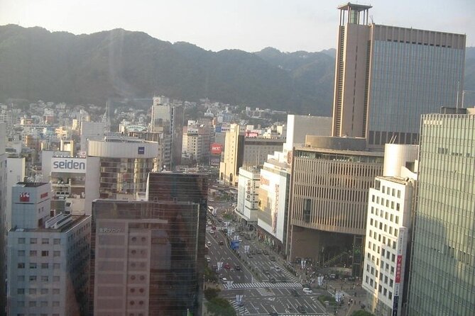 Private Full-Day Guided Tour in the City of Kobe - Harborland at the End of the Day: Tower Views and Port Air