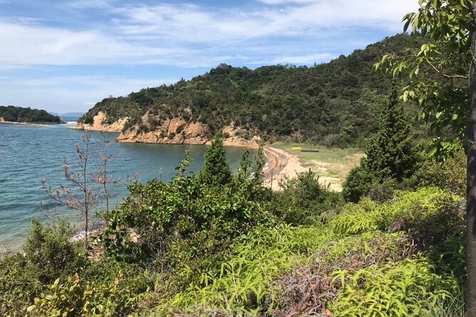 Private Full Day Tour in Naoshima Island for JR Pass Holder Only - Naoshima by e-bike, Ougiya rentals, and the luggage reality check