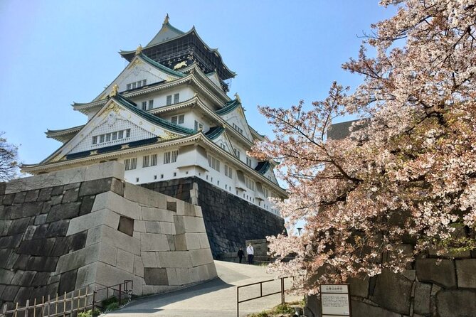 Private Half-Day Guided Tour of Osaka Castle - Toyotomi Hideyori’s Tomb, Where the 1615 Siege Becomes Personal