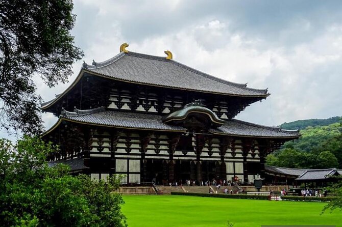 Private Kyoto-Nara Tour from Osaka with Hotel Pickup and Drop off - Private Kyoto and Nara pickup from Osaka: the real value