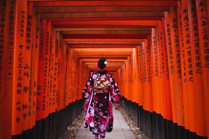 Private Kyoto-Nara Tour from Osaka with Hotel Pickup and Drop off - Nara Park deer time: what makes the experience click