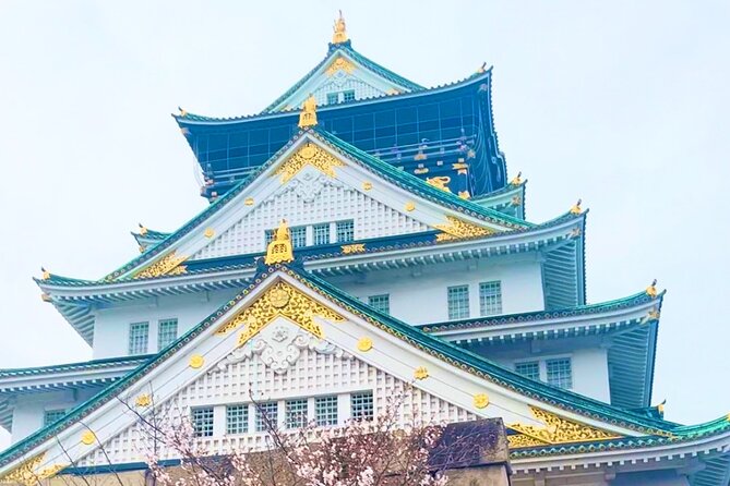 Private Osaka City Tour: Fusion of Tradition and Modernity - Shinsaibashi-suji arcade to Dotonbori neon: the Osaka switch flips