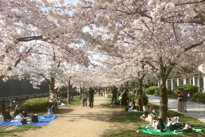 Private Osaka Tour with Hotel Meet Up - Key Points You’ll Care About