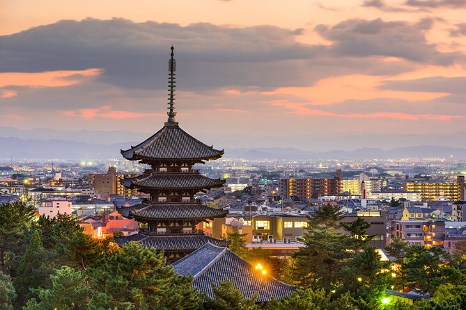 Private Tour to Nara from Osaka with English speaking Driver - How the 8-hour day actually plays out
