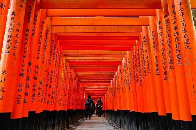 Private Transfer Between Kyoto and Kansai Airport KIX - Who this transfer fits best in Kyoto