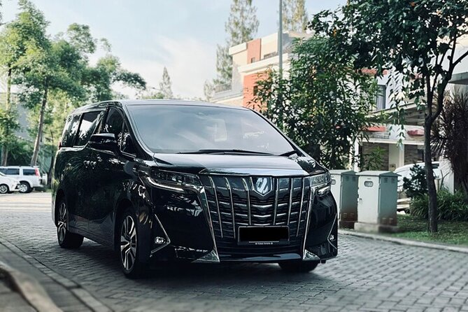 Private Transfer from Itami Airport ITM to Kyoto City by Minivan - Meet your chauffeur at Itami, with a sign and flight monitoring