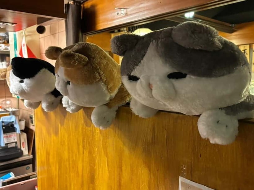 Purrrrfect Osaka Cook'n'eats - Key things I’d circle before you go