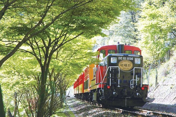 Sagano Romantic Train & Arashiyama, Kiyomizudera, Fushimi Inari Taisha Day Tour - Sagano Romantic Train: 23 to 25 minutes of river views you will remember