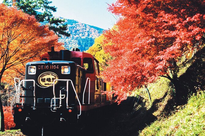 Sagano Romantic Train & Arashiyama, Kiyomizudera, Fushimi Inari Taisha Day Tour - Price and what $82.78 covers in real terms