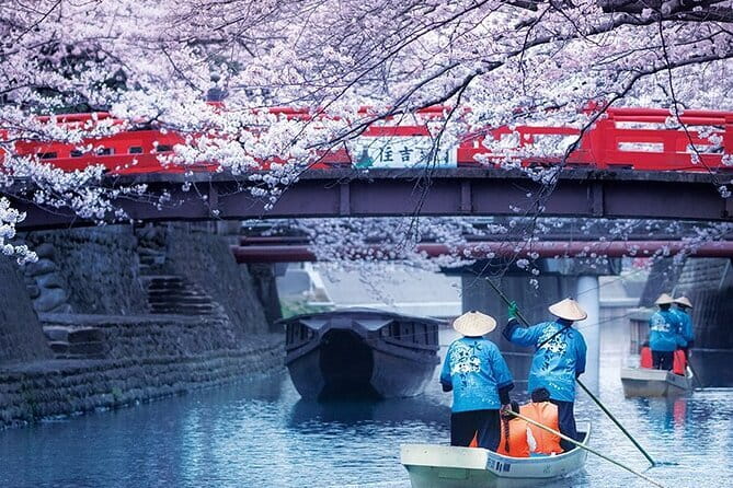 Sakura Magic and Nabana No Sato Day Tour From Osaka - Key points worth knowing
