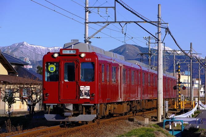 Sakura Magic and Nabana No Sato Day Tour From Osaka - A Spring Lighting Day Trip From Osaka: What You Really Get