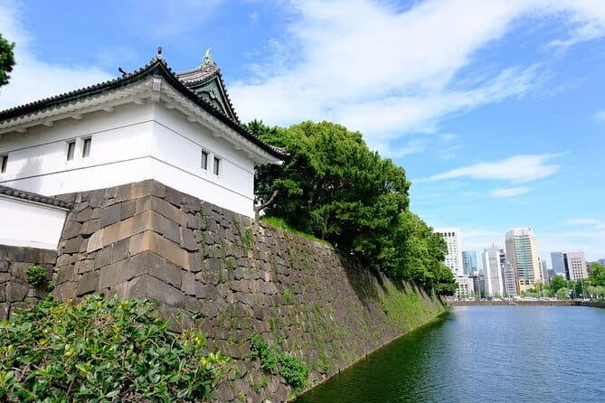 Sakura Magic and Nabana No Sato Day Tour From Osaka - When Sakura Is Light or Weather Changes: Set Expectations