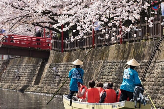 Sakura Magic and Nabana No Sato Day Tour From Osaka - Sekigahara-cho: Wagyu Sukiyaki Lunch and Local Shopping Time