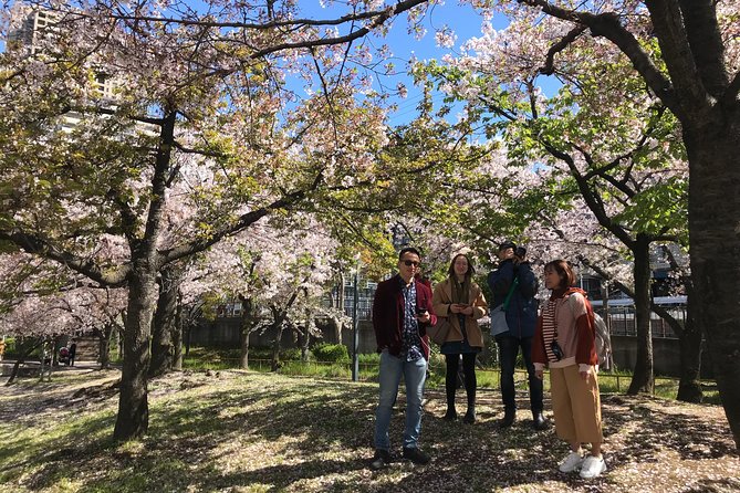Sakura Picnic "Hanami" in Osaka - Spring Only - How the guide finds the best blossoms when peak is over