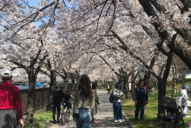Sakura Picnic "Hanami" in Osaka - Spring Only - Picnics, snacks, and hanami etiquette you’ll actually use