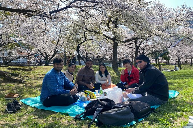 Sakura Picnic "Hanami" in Osaka - Spring Only - Price and value at about $39 for a guided blossom hunt