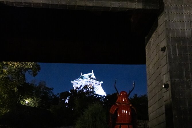 Samurai-specific Osaka Castle Guides Private tours in armor Photo - Key takeaways before you go