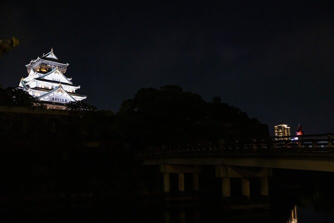 Samurai-specific Osaka Castle Guides Private tours in armor Photo - Samurai Honor in Osaka Castle: why dressing up changes the whole experience