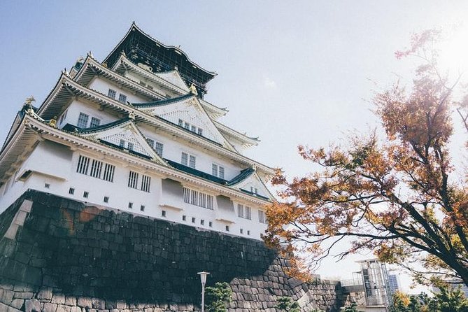 Shared Arrival Transfer: Osaka Itami Airport to Osaka City - Shared transfer timing, and how to stay calm while you coordinate