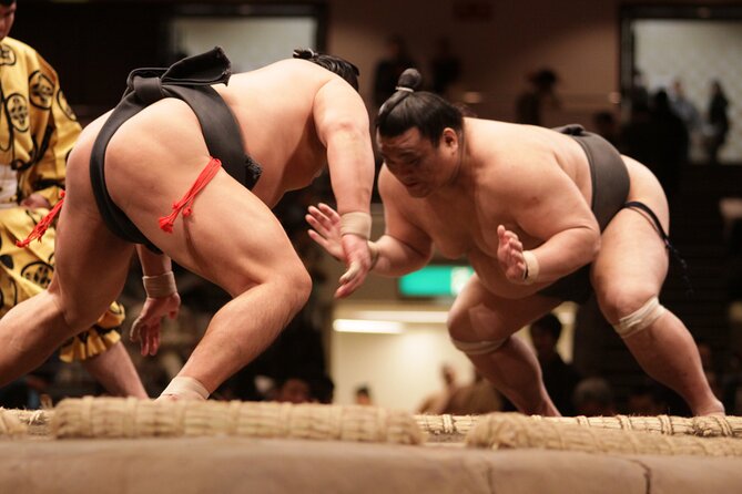 Sumo Wrestling Tournament Chair Seats & Expert Guide | Osaka Mar - Your 14:00 Start: How the Afternoon Runs Without Chaos