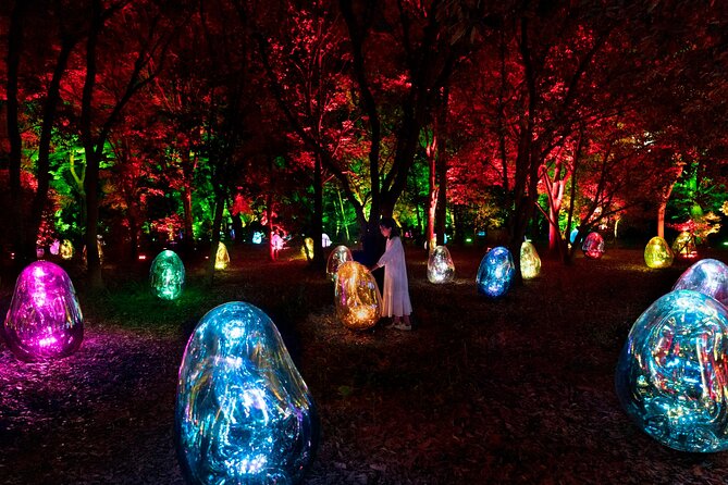 TeamLab Botanical Garden Osaka Ticket - teamLab Botanical Garden Osaka at night: what you are really buying