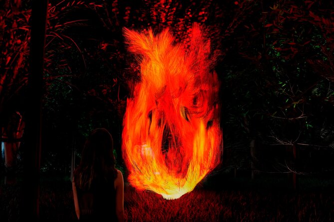 TeamLab Botanical Garden Osaka Ticket - Photography rules that affect your night (and your sanity)