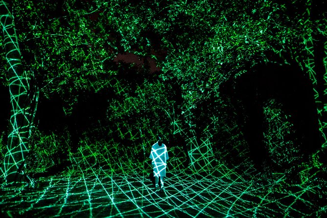 TeamLab Botanical Garden Osaka Ticket - Who should book this teamLab Botanical Garden Osaka ticket