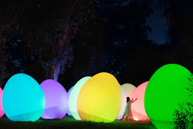 TeamLab Botanical Garden Osaka Ticket - The big moment: Floating Resonating Lamps on Oike Lake