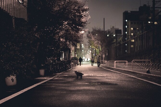 The Dark Side of Osaka Walking Tour - Tobita Shinchi red-light district, history, architecture, and rules