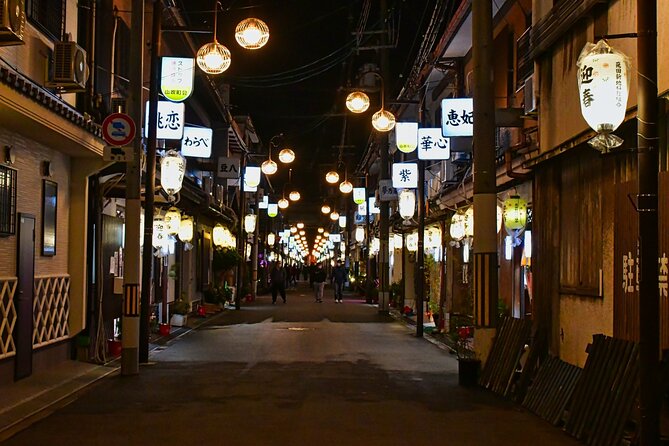 The Dark Side of Osaka Walking Tour - What the 2-hour route feels like in real life