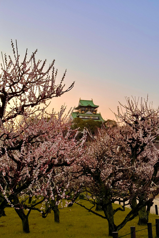 (Ticket Included) Explore Osaka Castle & Museum of History - Osaka Castle and Museum of History, What Makes It Work