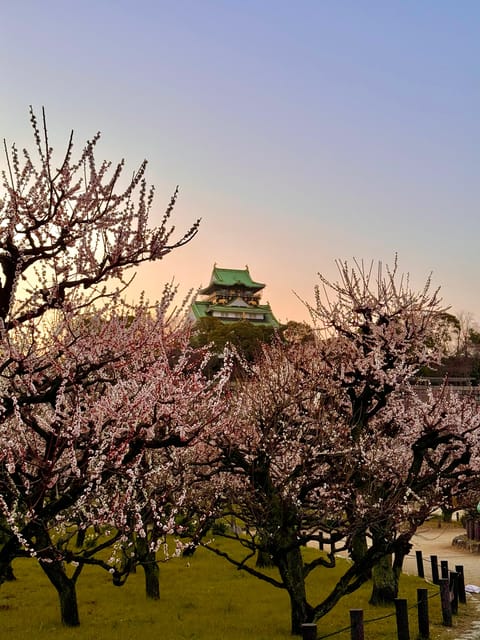 (Ticket Included) Explore Osaka Castle & Museum of History - Practical Tips That Make This Tour Feel Easy