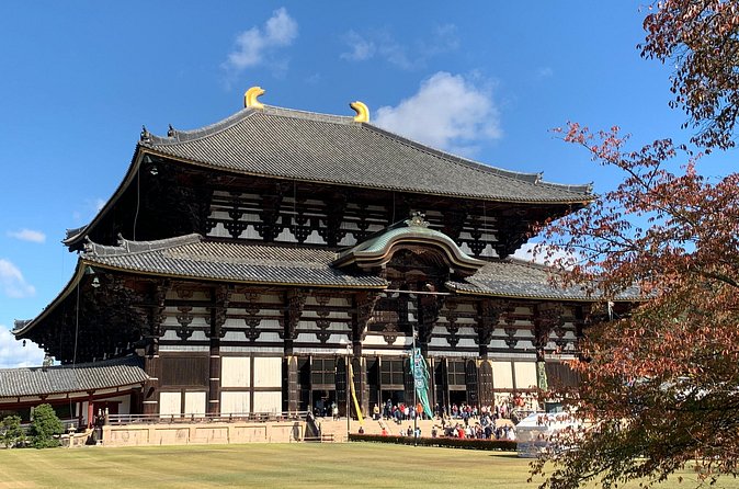 Todaiji Temple Nara Park and Naramachi Alley Walk - Small-group comfort and escort support that actually helps