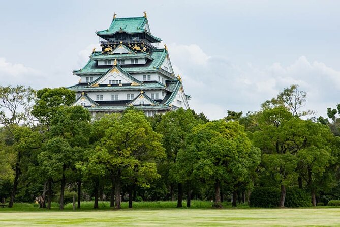 Tour Famous Spots in Osaka by Private Car - Why a private car tour is a smart move in Osaka