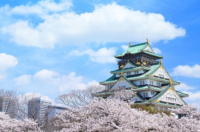 Tour Famous Spots in Osaka by Private Car - Dotonbori canal lights: a classic Osaka photo run in 30 minutes