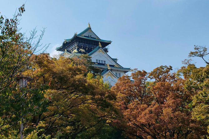 Ultimate Osaka Walking Tour: Castle, Dotonbori & Hidden Gems - Meeting Point Near Osaka Castle Park: Start Easy, End Elsewhere