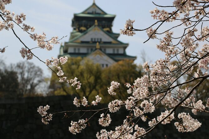 Unveiling Osaka's Charms Full Day Private Tour - Harukas Abeno Tower: Included entry, big-city views